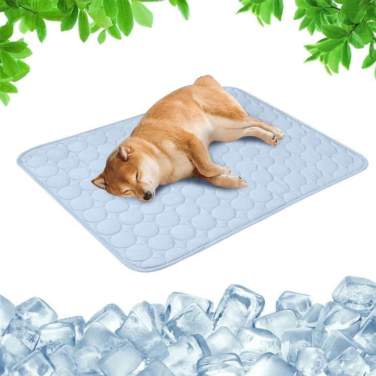 Pernă răcoritoare – PetCool Pad 100x70 cm